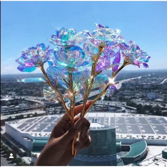 🌈🌹 iridescent multicolor rose flower rainbow - Picture 8 of 8